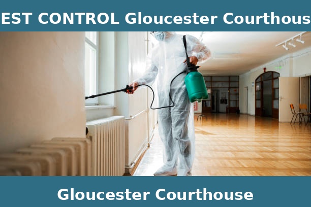 PEST CONTROL Gloucester Courthouse